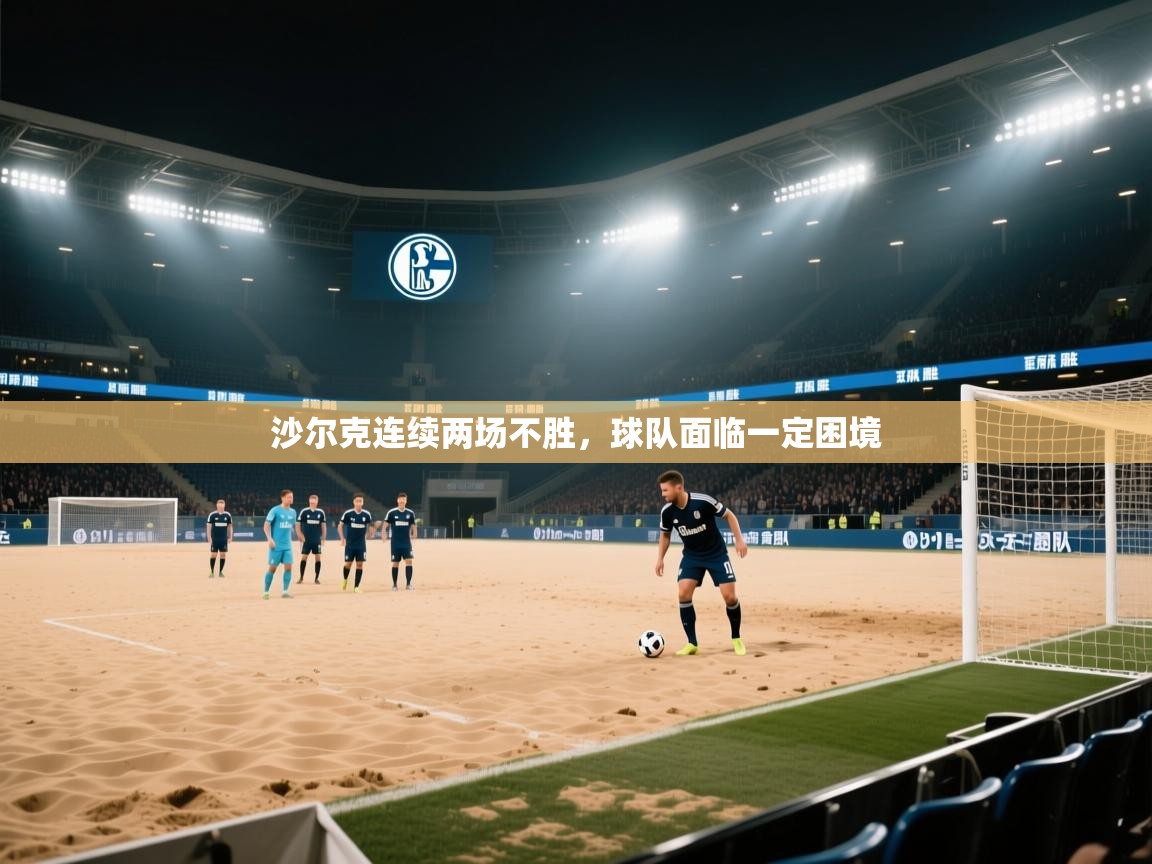 沙尔克连续两场不胜，球队面临一定困境  第2张