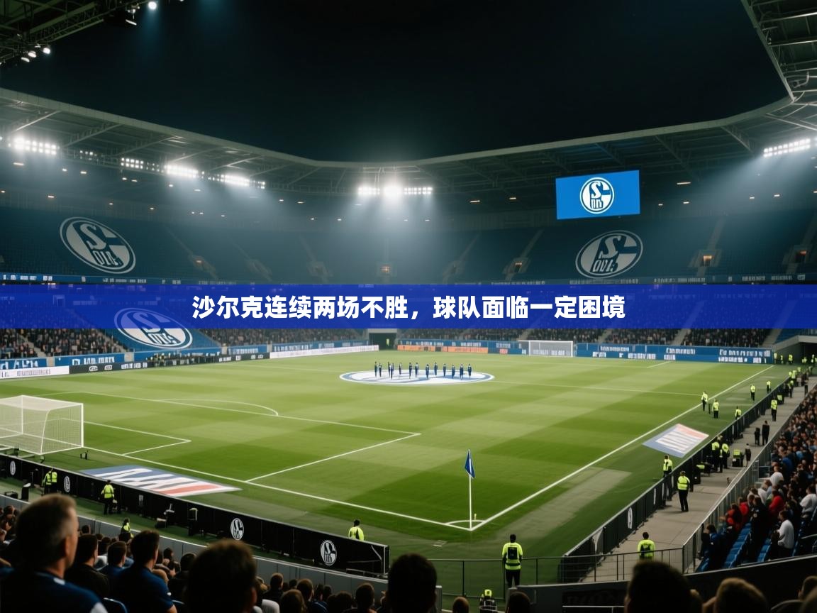 沙尔克连续两场不胜，球队面临一定困境  第1张